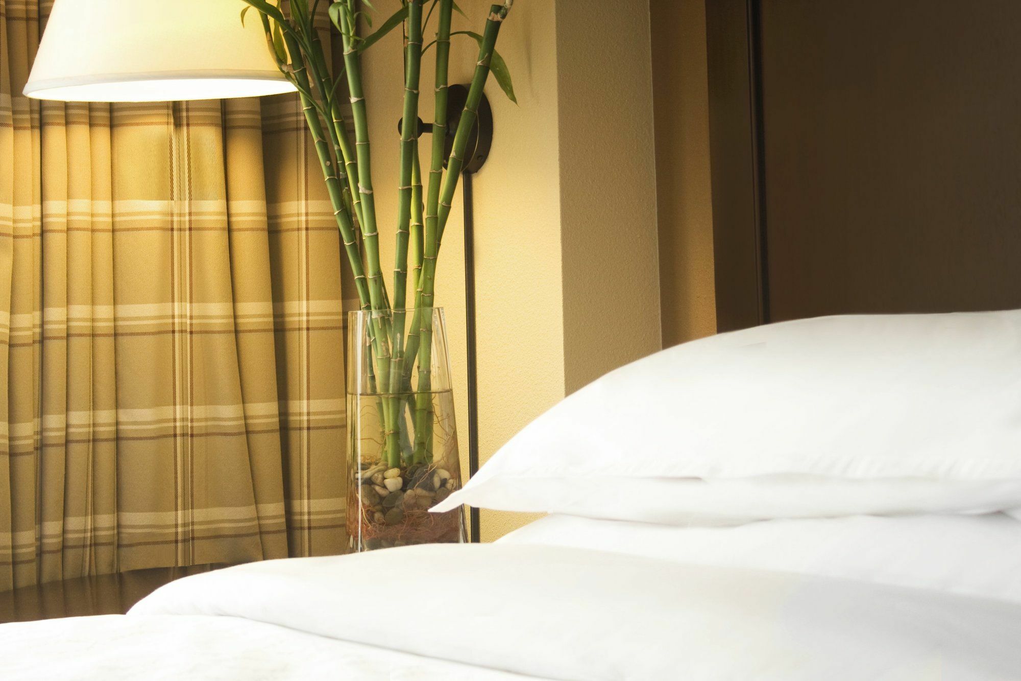 Sheraton Atlanta Perimeter North Sandy Springs Esterno foto